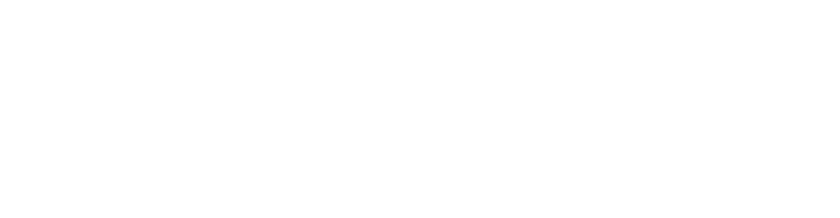 Palenque Tours